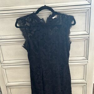 Fitted Lace Dress